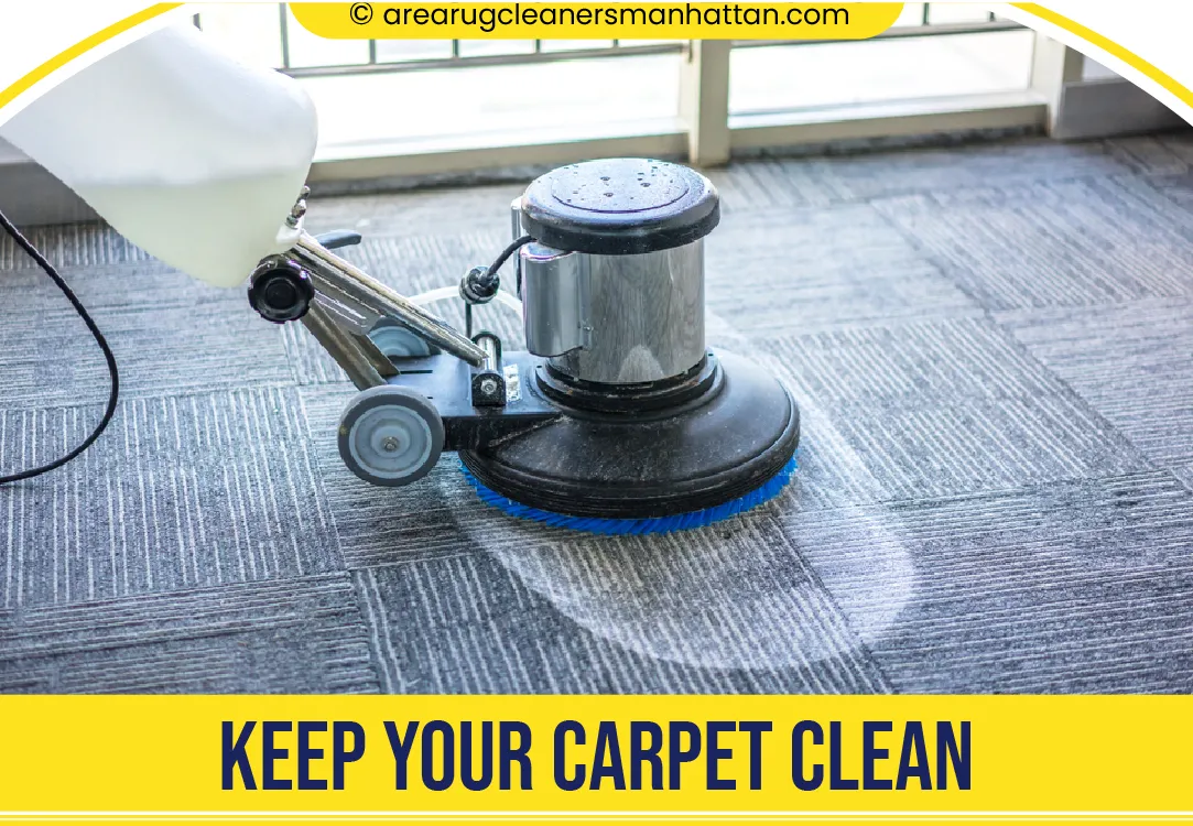 carpet cleaning in manhattan, carpet cleaning manhattan, carpet cleaners in manhattan, carpet cleaners in manhattan, commercial carpet cleaning, commercial carpet cleaning in manhattan, manhattan rug cleaners, rug cleaning services in manhattan, same day carpet cleaning, same day rug cleaning in manhattan